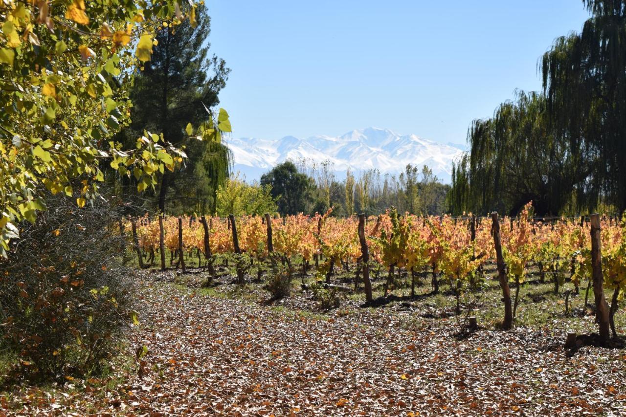 Postales Boutique Winery Hotel - Valle De Uco Colonia Las Rosas Exterior foto