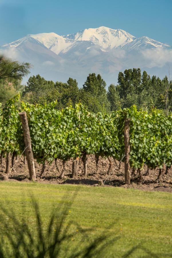 Postales Boutique Winery Hotel - Valle De Uco Colonia Las Rosas Exterior foto